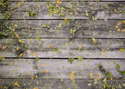 Cedar Deck Construction